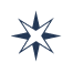 Fluxorin decorative star graphic